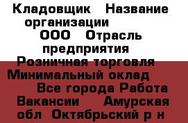 Кладовщик › Название организации ­ O’stin, ООО › Отрасль предприятия ­ Розничная торговля › Минимальный оклад ­ 17 200 - Все города Работа » Вакансии   . Амурская обл.,Октябрьский р-н